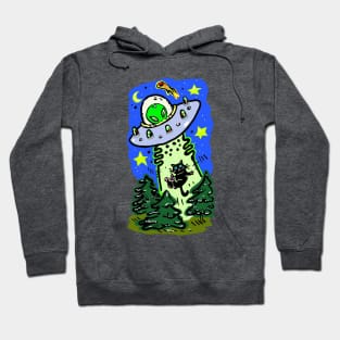 Kitty Cat Alien Abduction Hoodie